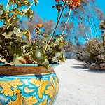公寓式酒店 马考达海滩公寓