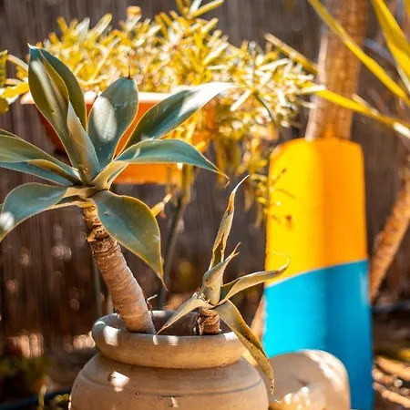 شقة فندقية Makauda