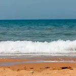 Makauda