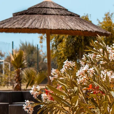 Makauda Aparthotel 2*